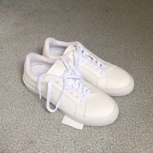 Steve Madden white sneakers. Never worn